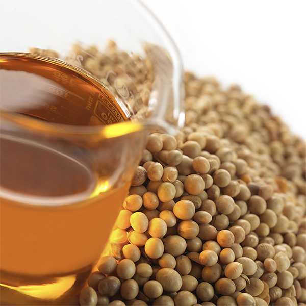 Soya yağı